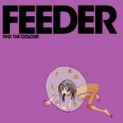 Feeder - Find the Colour