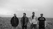 Northling