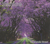 Venice - Jacaranda Street
