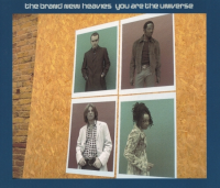 The Brand New Heavies - You Are The Universe