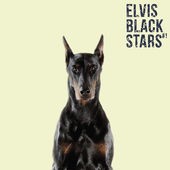 Elvis Black Stars - #1
